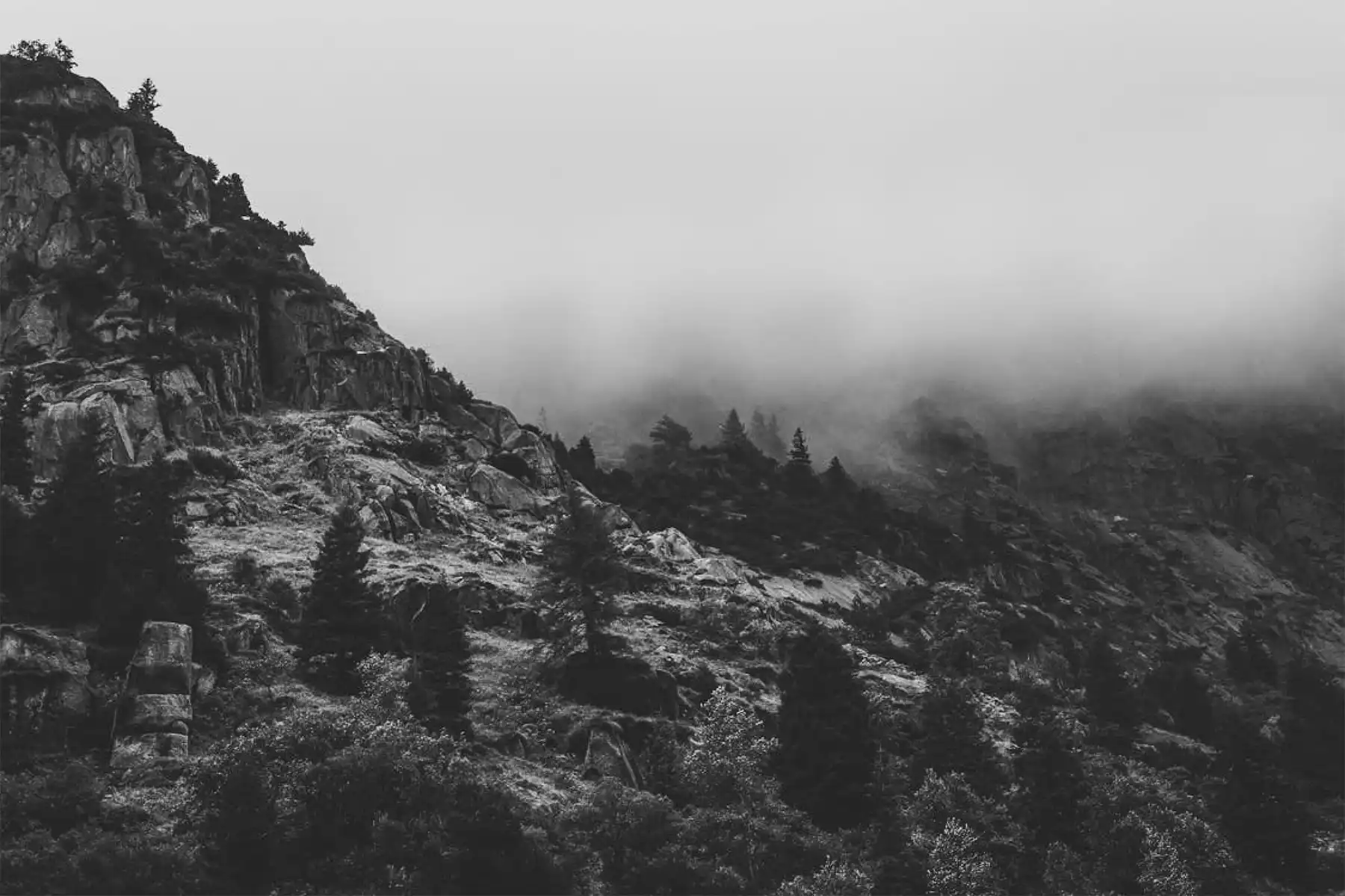 Whisper-Ridge.webp